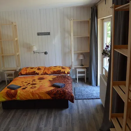 Slunecnice Kuřimská Nová Ves