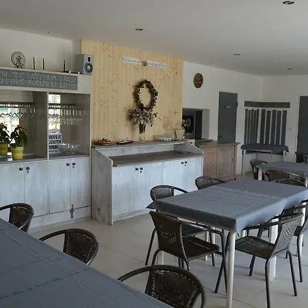Slunecnice Kuřimská Nová Ves