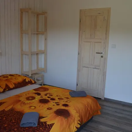 Slunecnice * Kuřimská Nová Ves