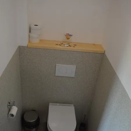 Slunecnice Kuřimská Nová Ves
