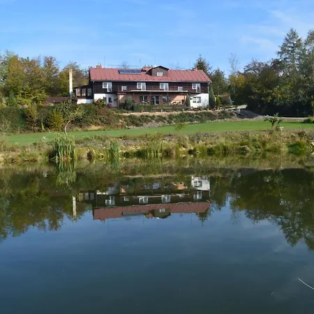 Slunecnice Kuřimská Nová Ves